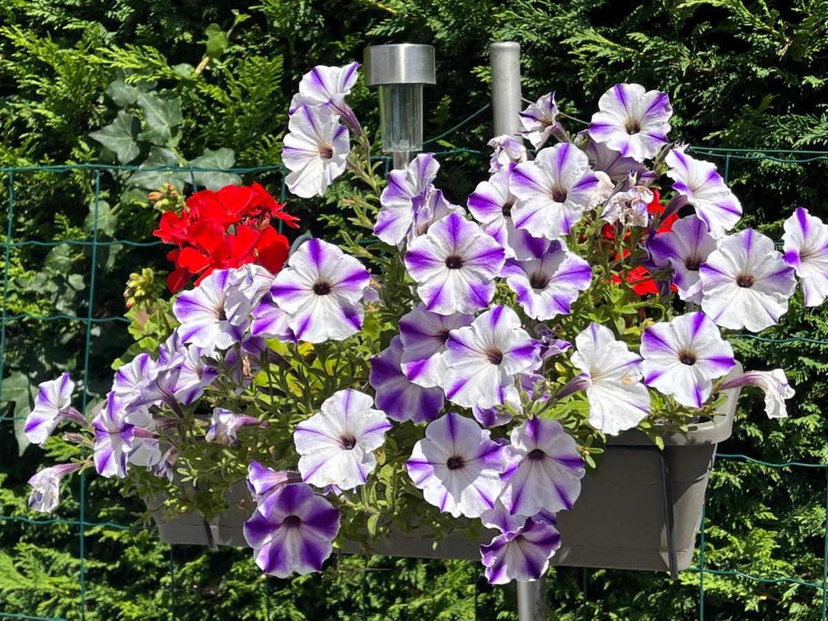 Апартаменты Les Floralies Froberville Экстерьер фото